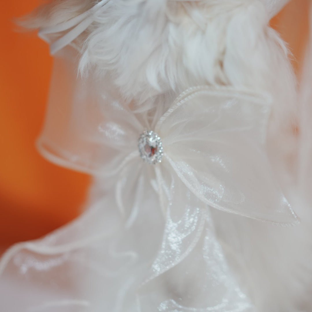 Party Lace Dog Cat Necklace&Hat Set