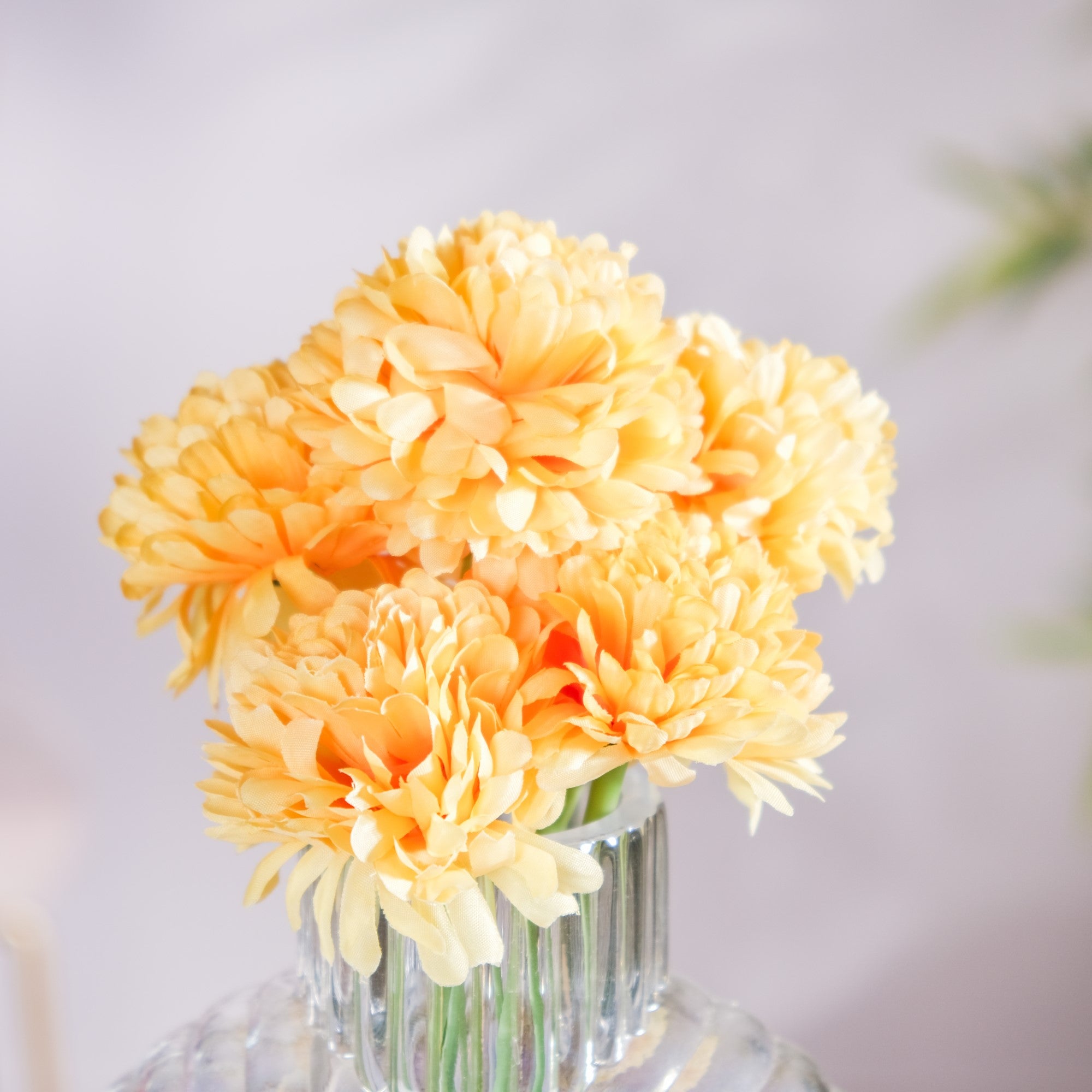 Chrysanthemum Flower Yellow Set Of 5