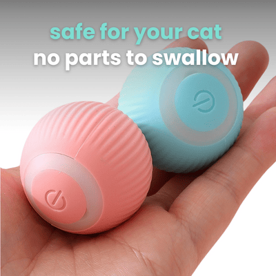 😺Automatic Smart Rolling Ball Toy😸