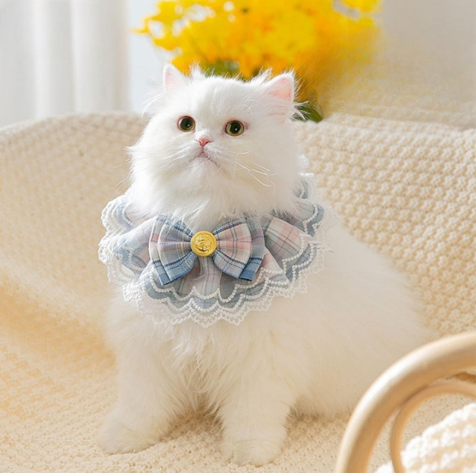 JK Style Lace & Bow Decorative Pet Bib