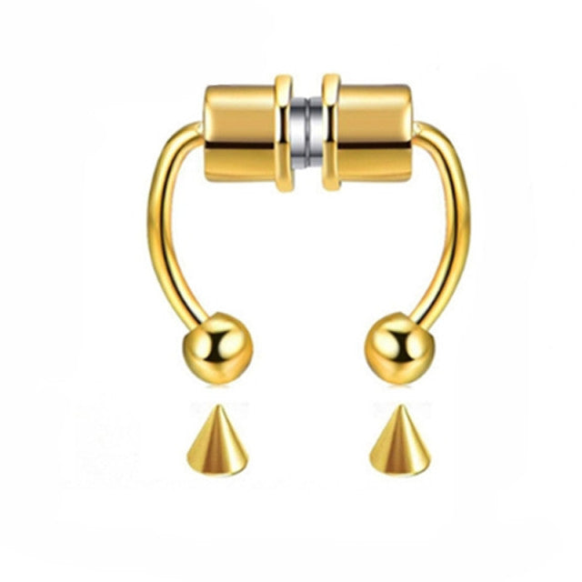 Magnet Septum Ring