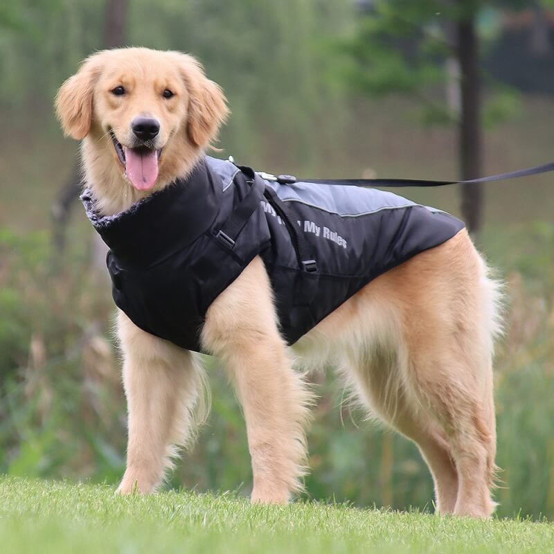 High Collar Warm Cool Dog Accessories Jacket Thickened Cool Dog Accessories Cotton Coat