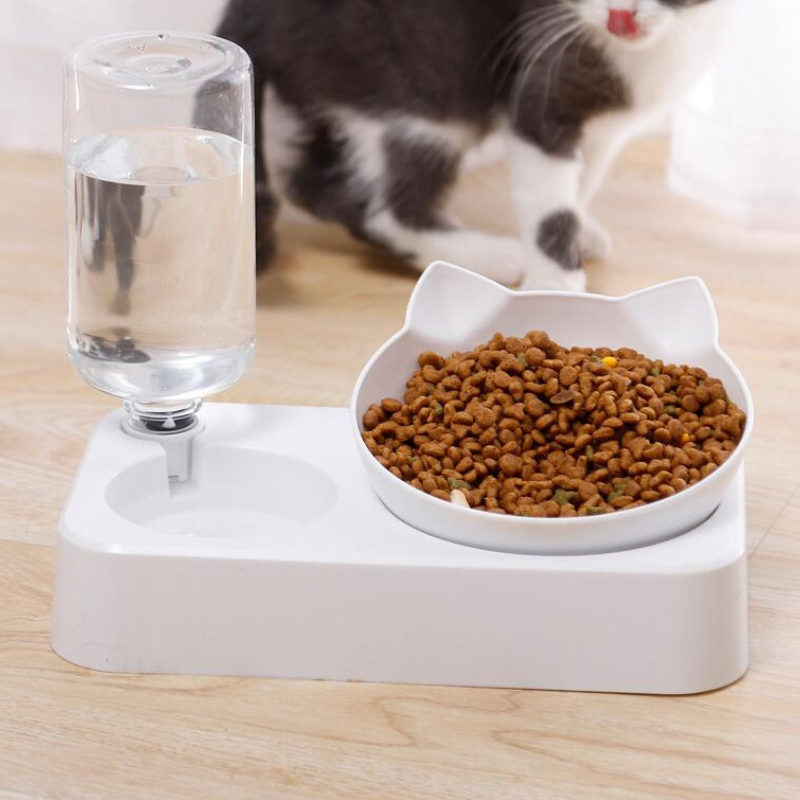 Automatic Pet Feeder with Water Dispenser