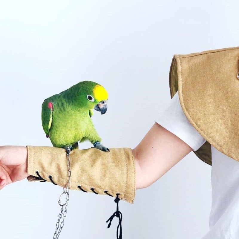 Anti-Scratch Parrot Training Shoulder Protector
