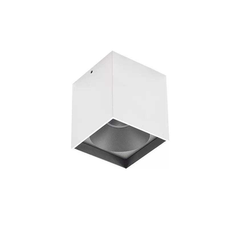 Cowrie | Surface Mounted Light