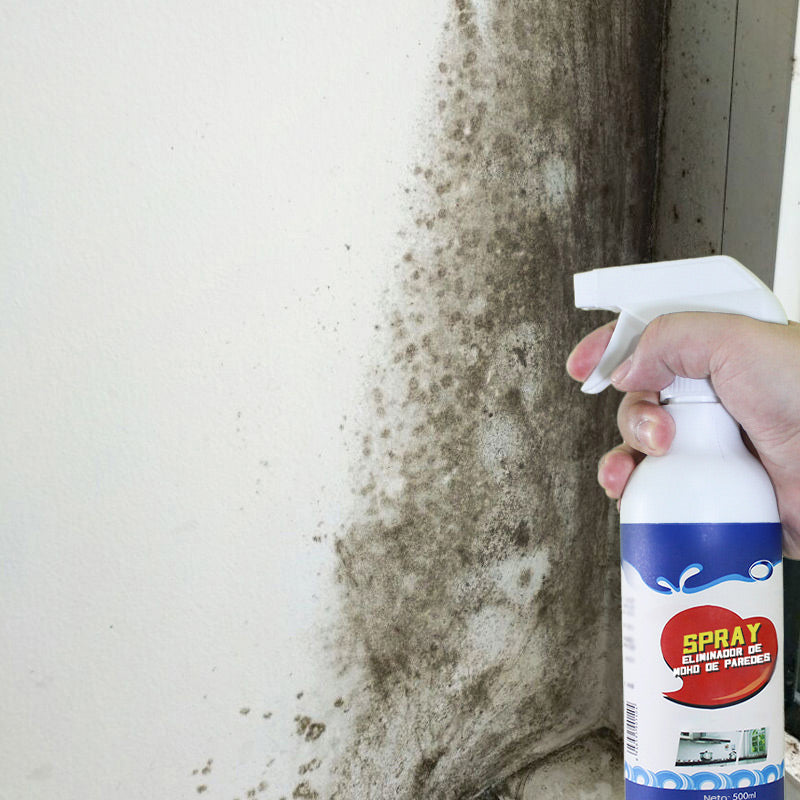 🦠Hoog effectieve schimmelverwijderingsspray - voorkomt schimmelhergroei