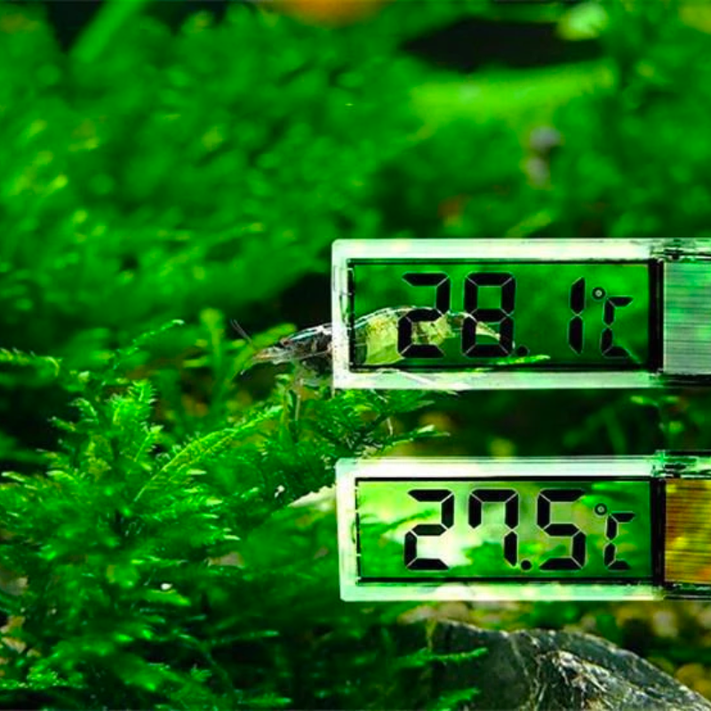 Digital LCD Electronic Thermometer