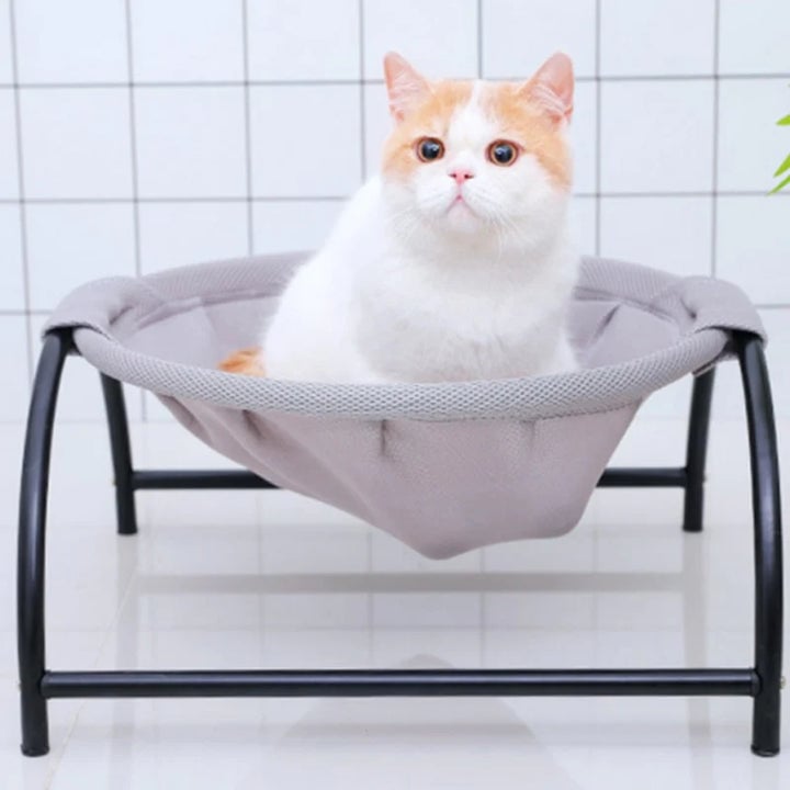 Floor Cat Hammock-With Stand (Buy 2 Free Shipping)