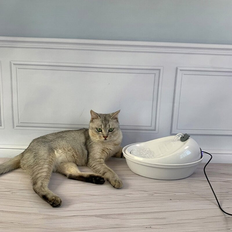Automatic Drinking Water For Cat
