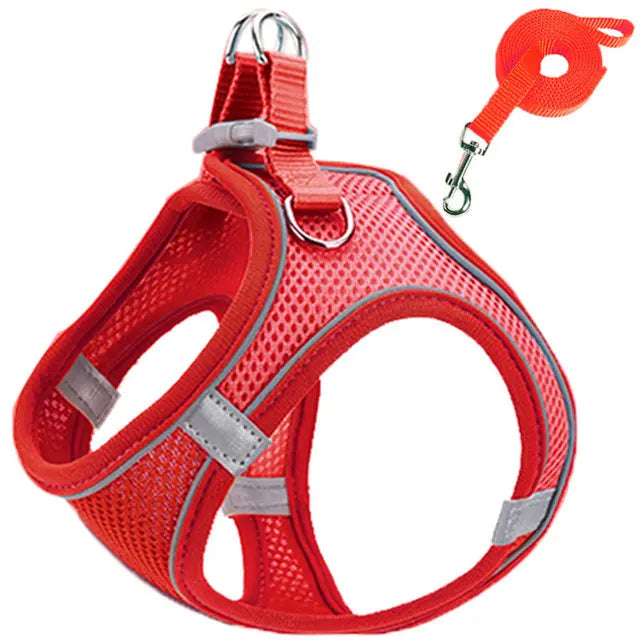 Peitoral de passeio para gatos e cachorros