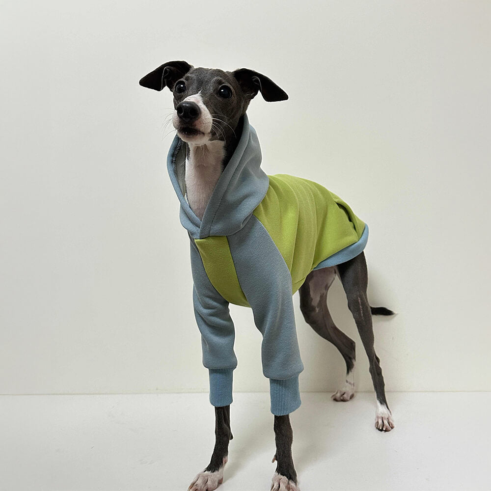 Lightweight Warm Thick Turtleneck Down Padded Dog Jacket Sweatshirt Set