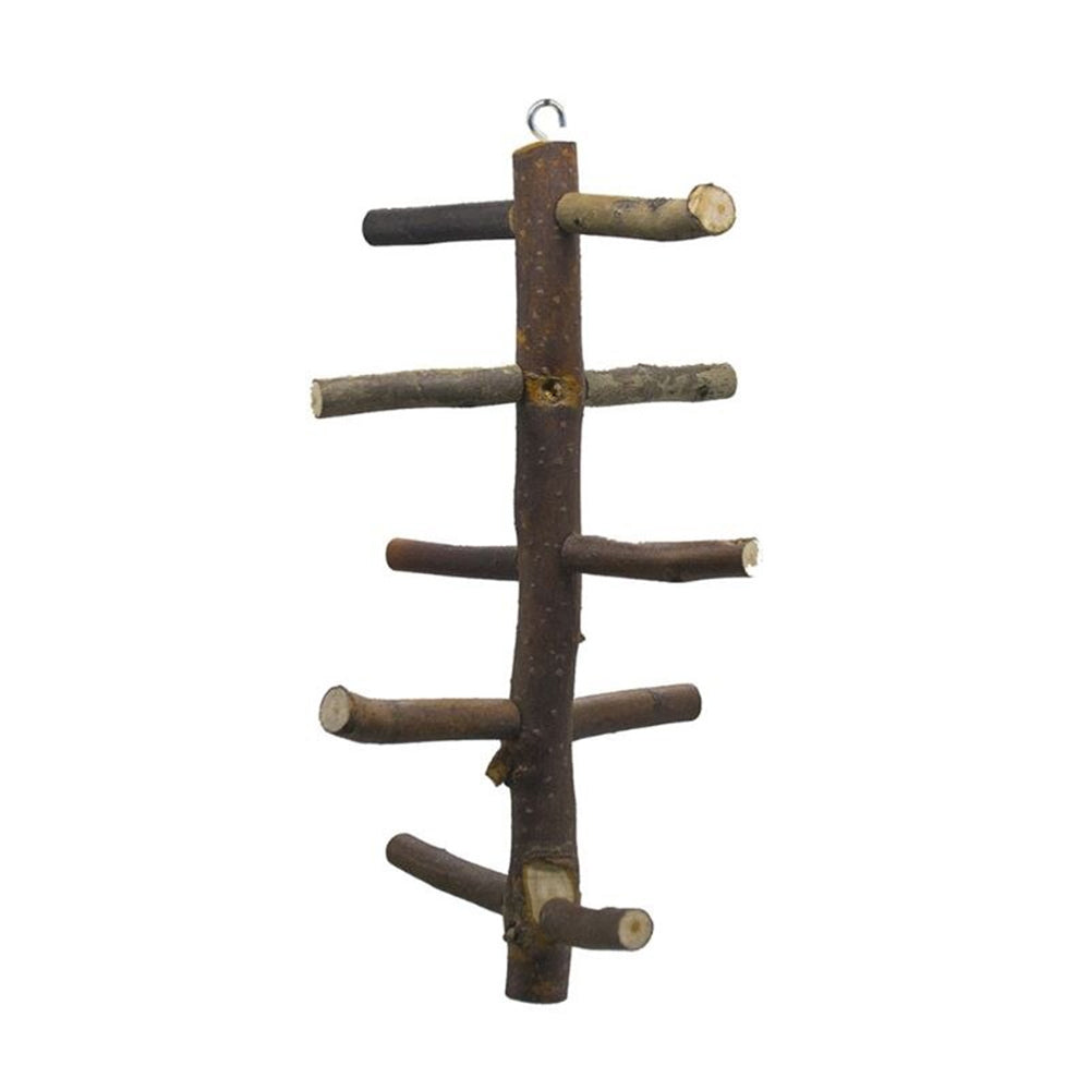 Wooden Bird Perch Parrot Toys