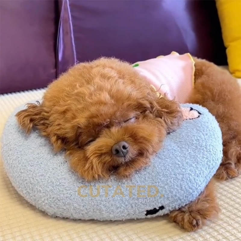 🎄Christmas Sale 48% OFF🐶🐱The Calming Pillow💐BUY 1 GET 1 FREE
