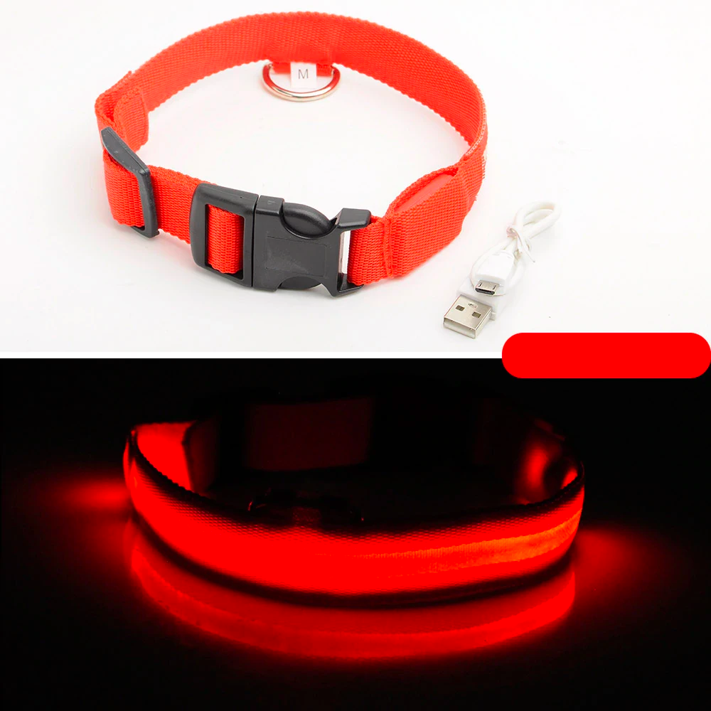 LED Dog Collar - USB Rechargeable - Glow In Dark