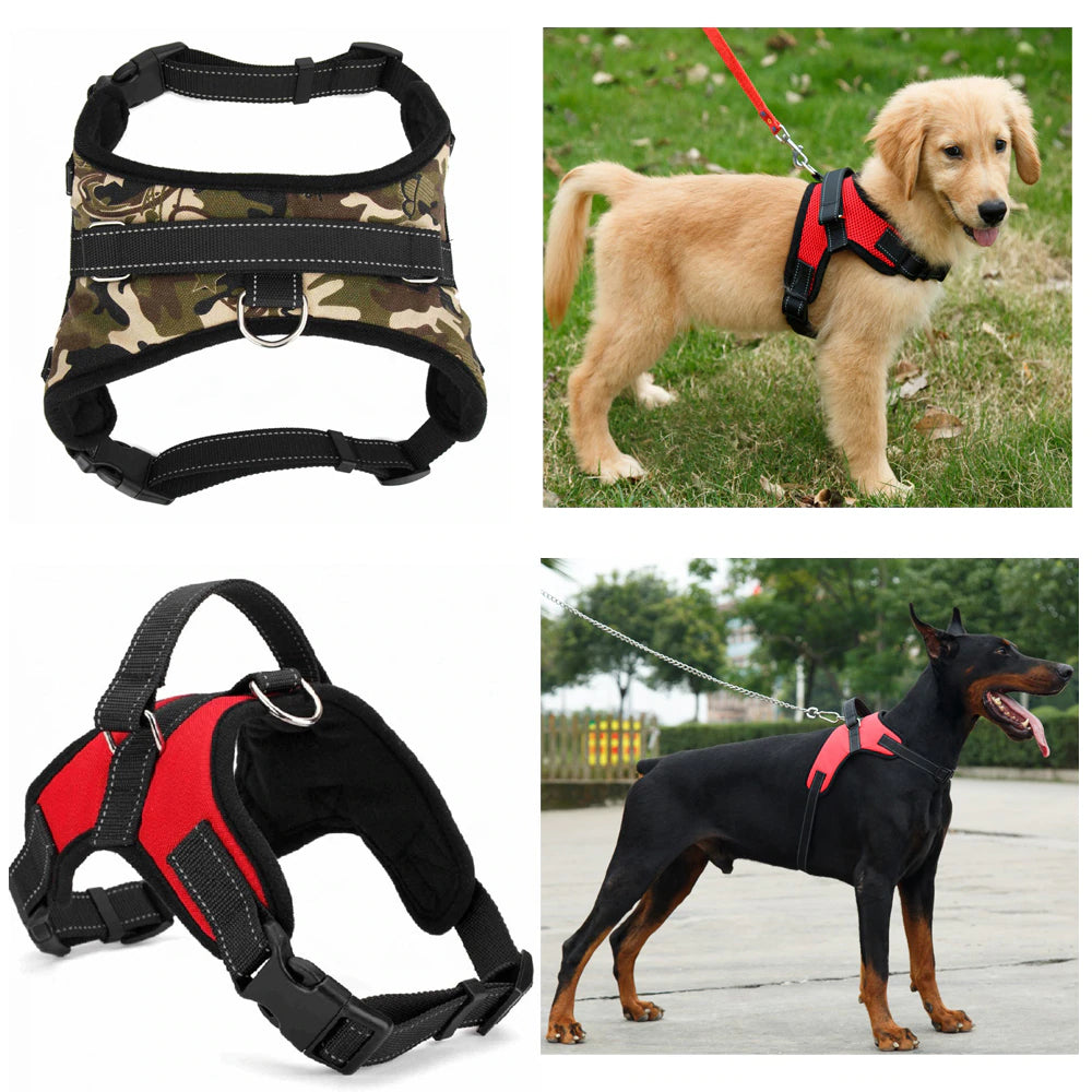 Padded Heavy Duty Pet Harness