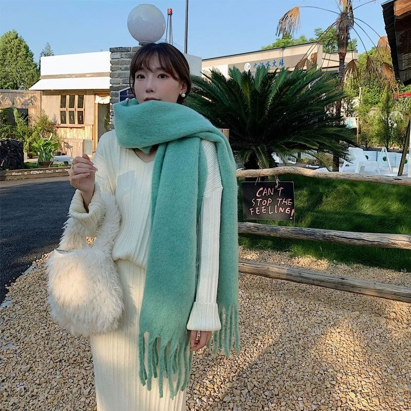 Women's Classic Style Solid Color Imitation Cashmere Acrylic Tassel Scarf