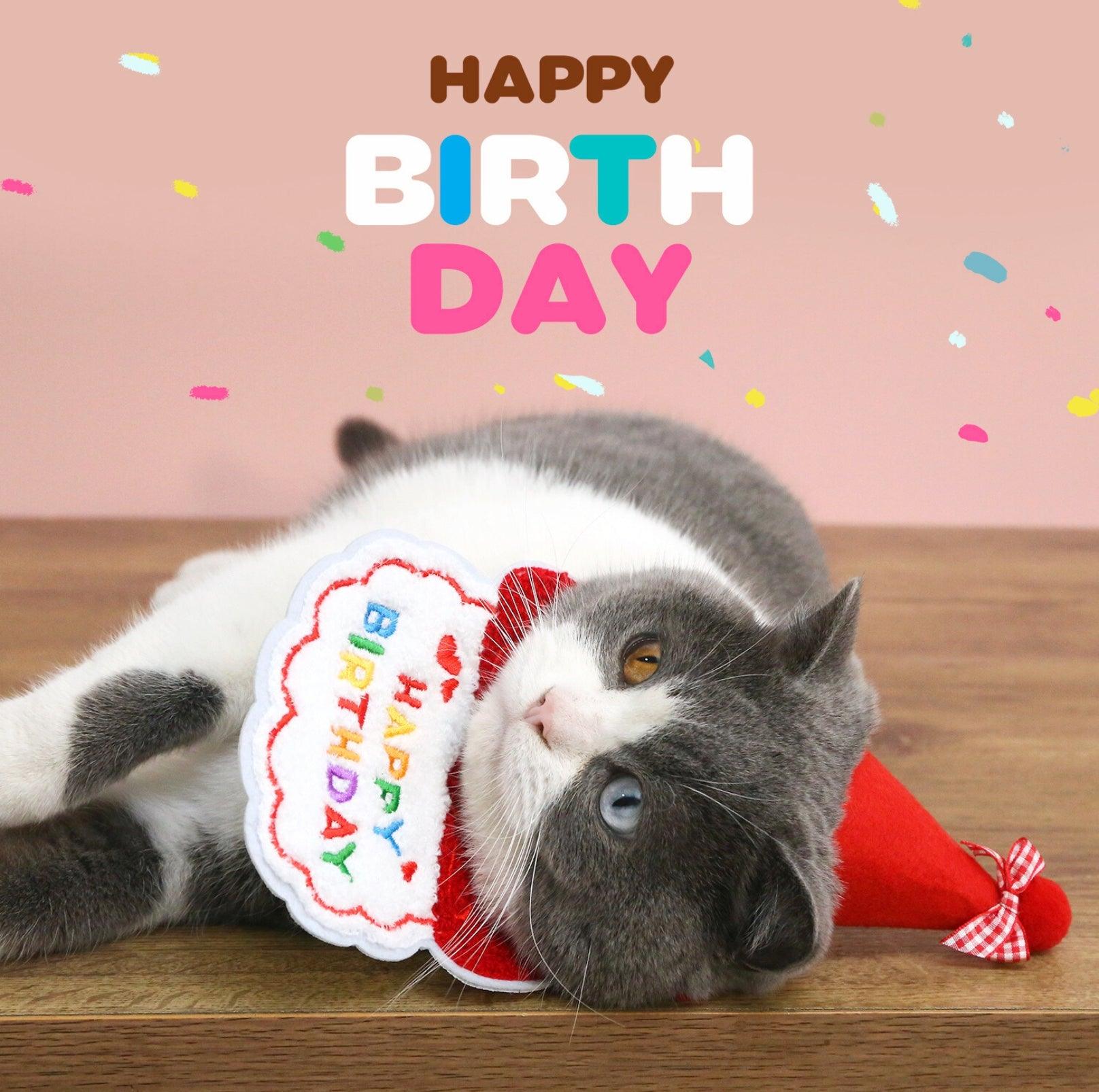 Pet Birthday Ensemble - Embroidered Hat & Bib Accessory Pack