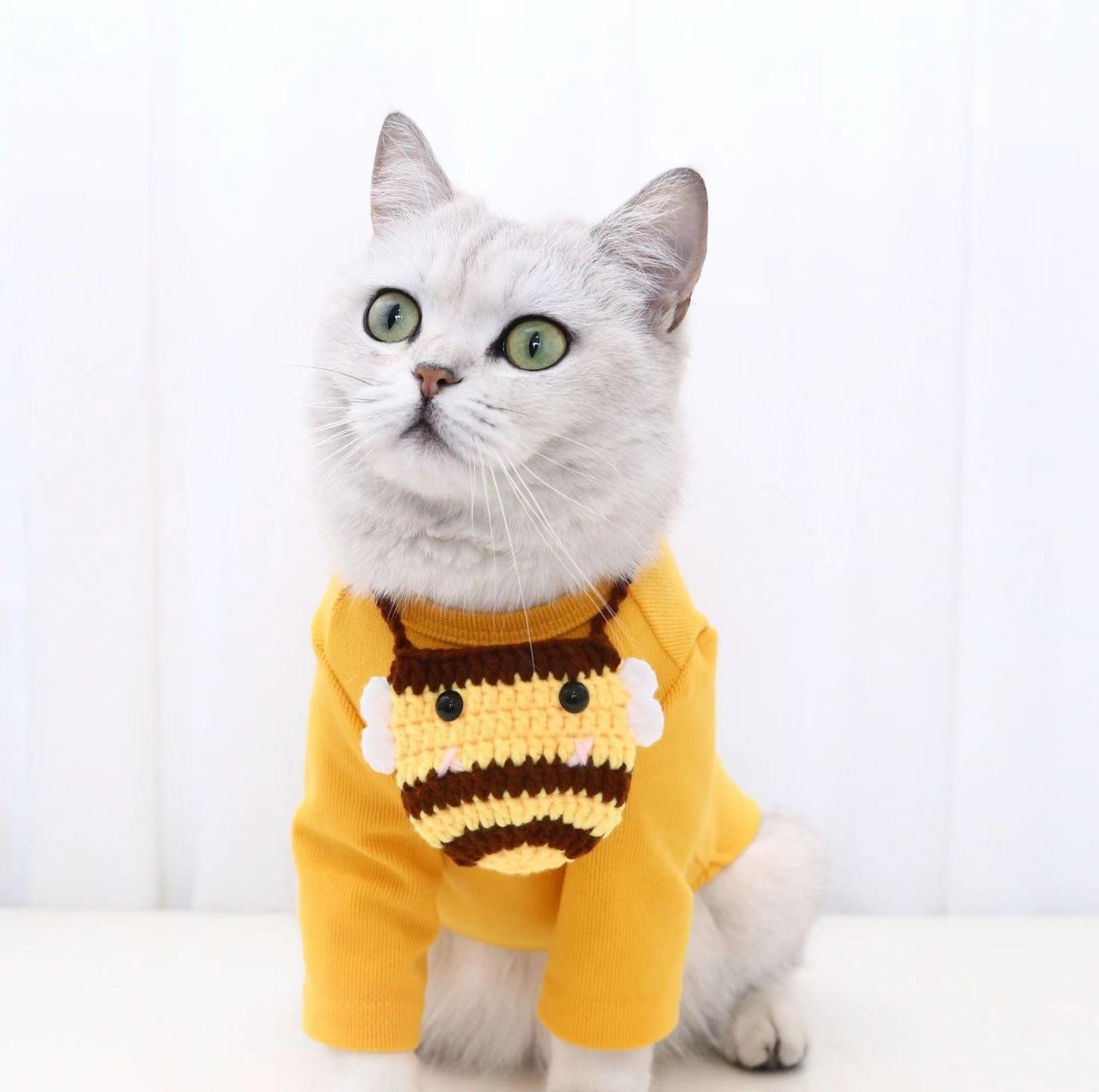 Knitted Cartoon Pet Self-Carrying Pack Style Accessory