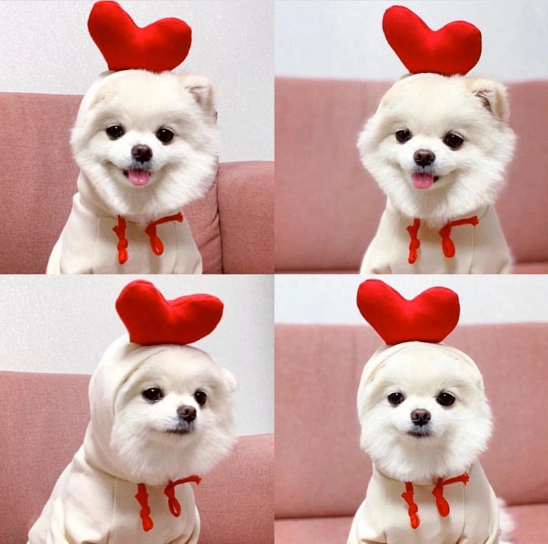 Puppy Dog Autumn And Winter Small And Medium-sized Dog Love Two-legged Cat Cute Pet Clothes Supplies