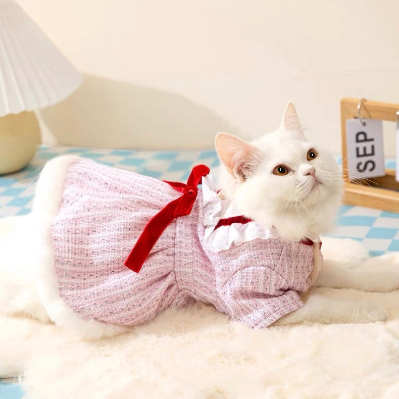 Warm Lace Bowknot Dog Cat Dress