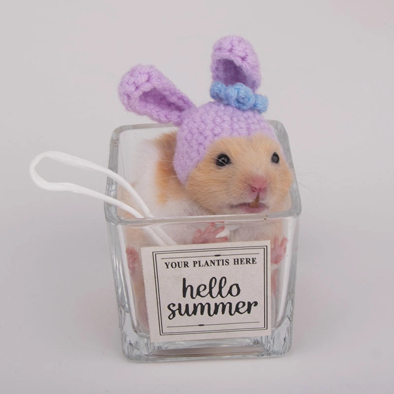 Hamster Hat Parrot Hair Band Photo Small Animal Headdress Handmade Frog Hat Ornaments Hedgehog Headgear Explosions