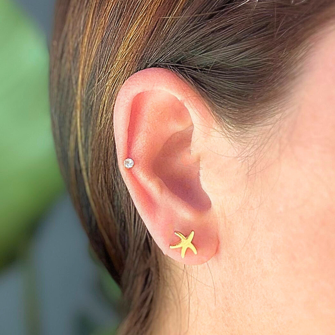 Starfish studs - Gold
