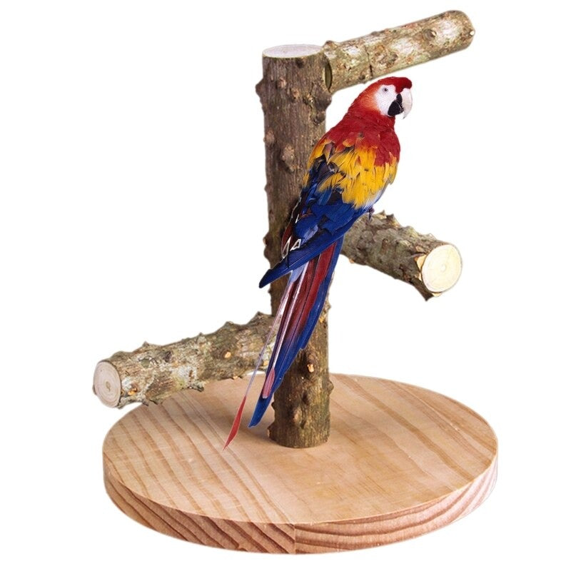Wooden Bird Perch Stands With Base