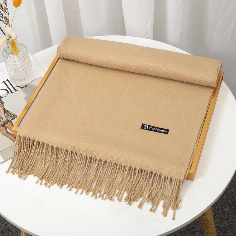 Women's Minimalist Solid Color Imitation Cashmere Tassel Scarf