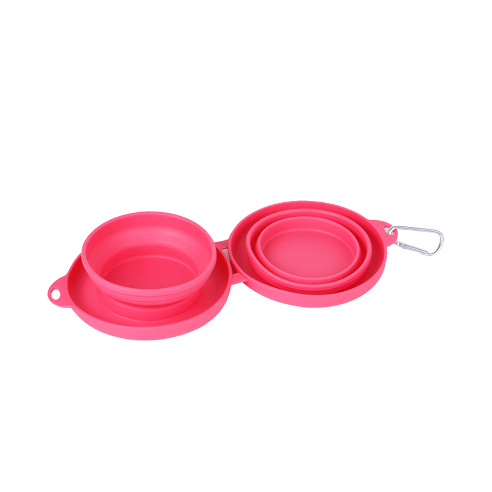 Double Bowl Pet Feeding