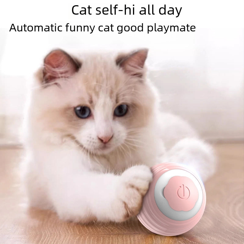 Interactive Cat Toy Teaser Wand Toy Feather For Indoor Cats Fun Exercise Play For Kittens