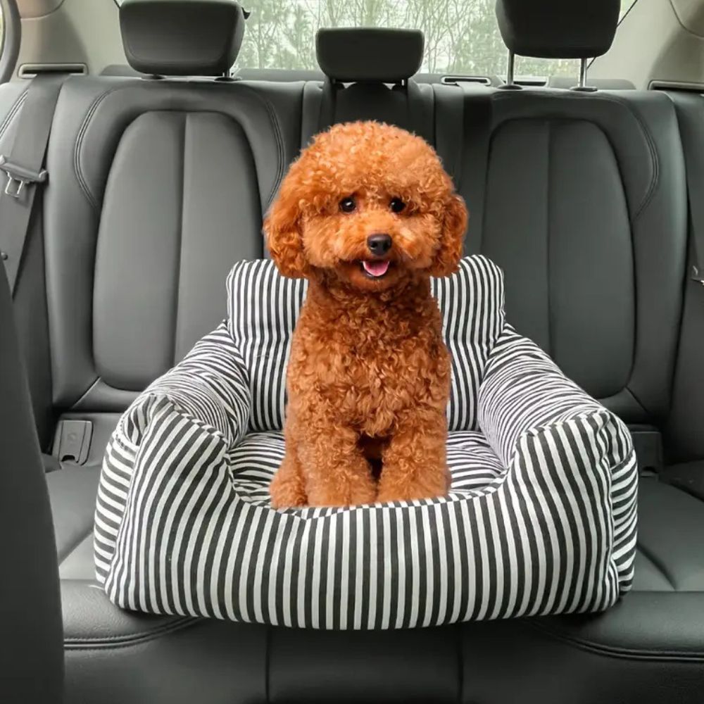 Travel Pet Seat