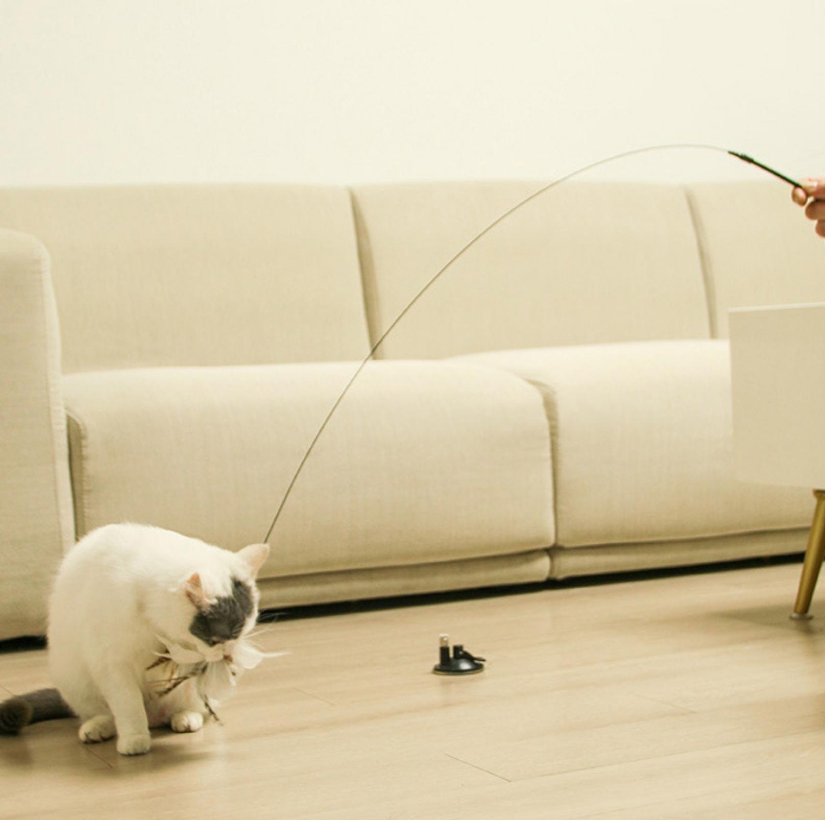 Free Your Hands: Extended Elastic Wire Cat Stick Teaser Cat Toys