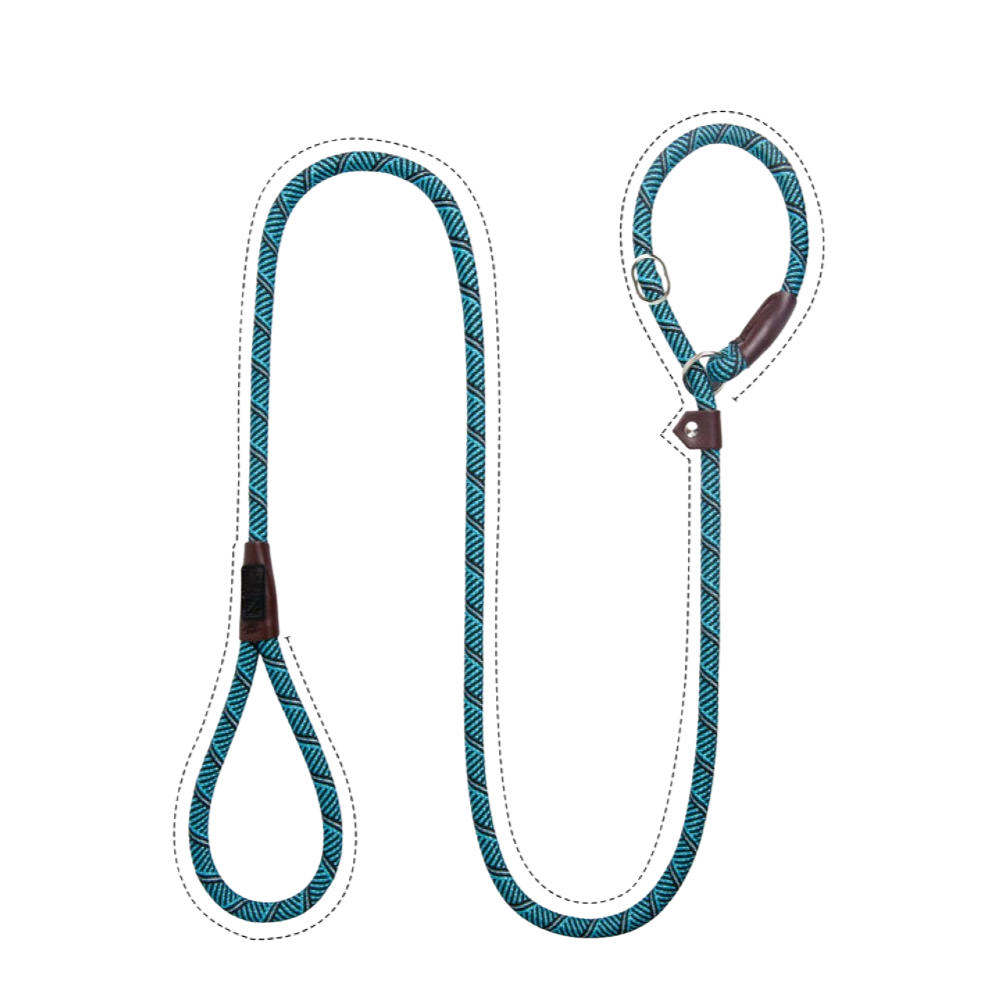 Sturdy Slip Training Leash