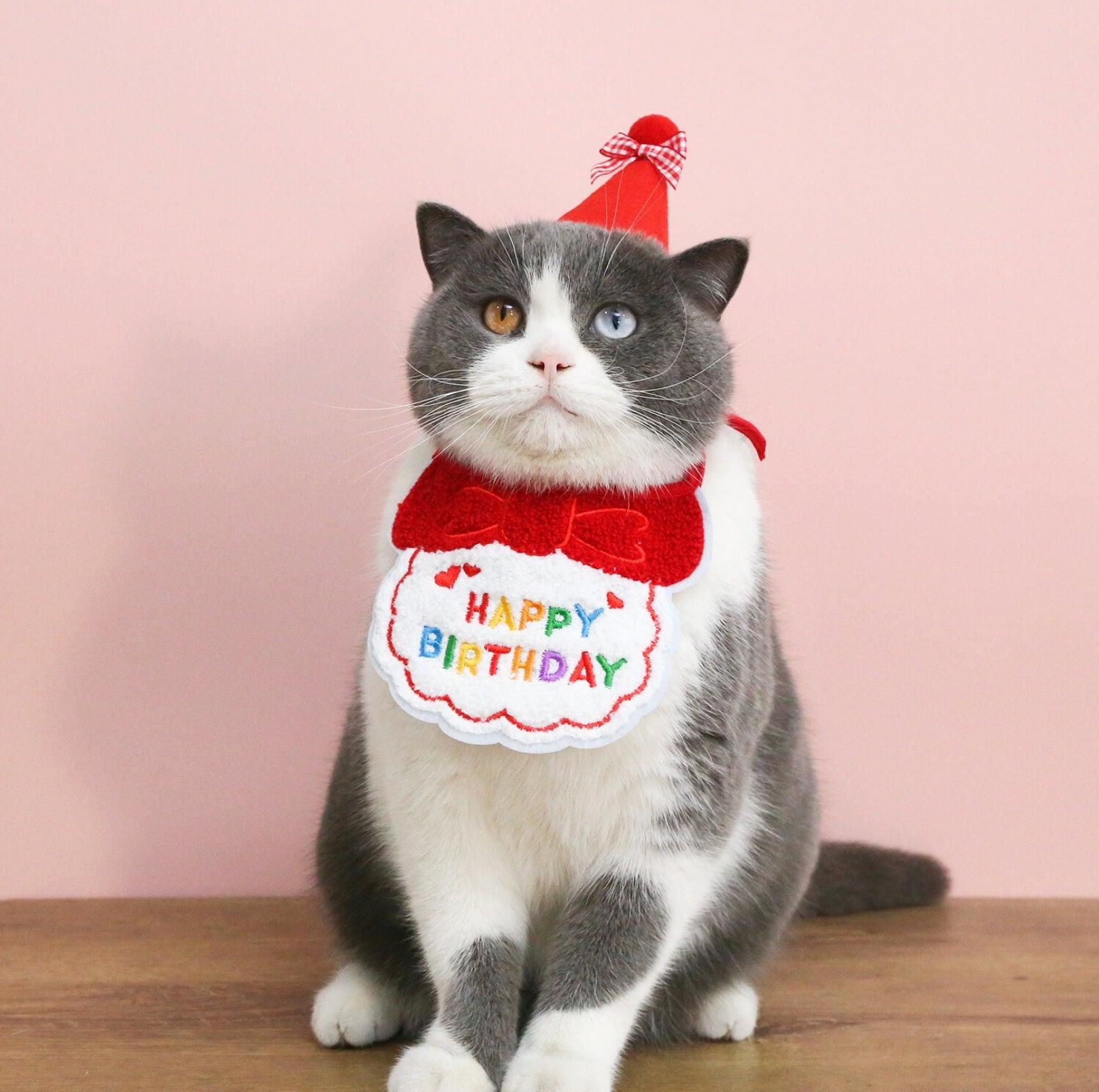 Pet Birthday Ensemble - Embroidered Hat & Bib Accessory Pack