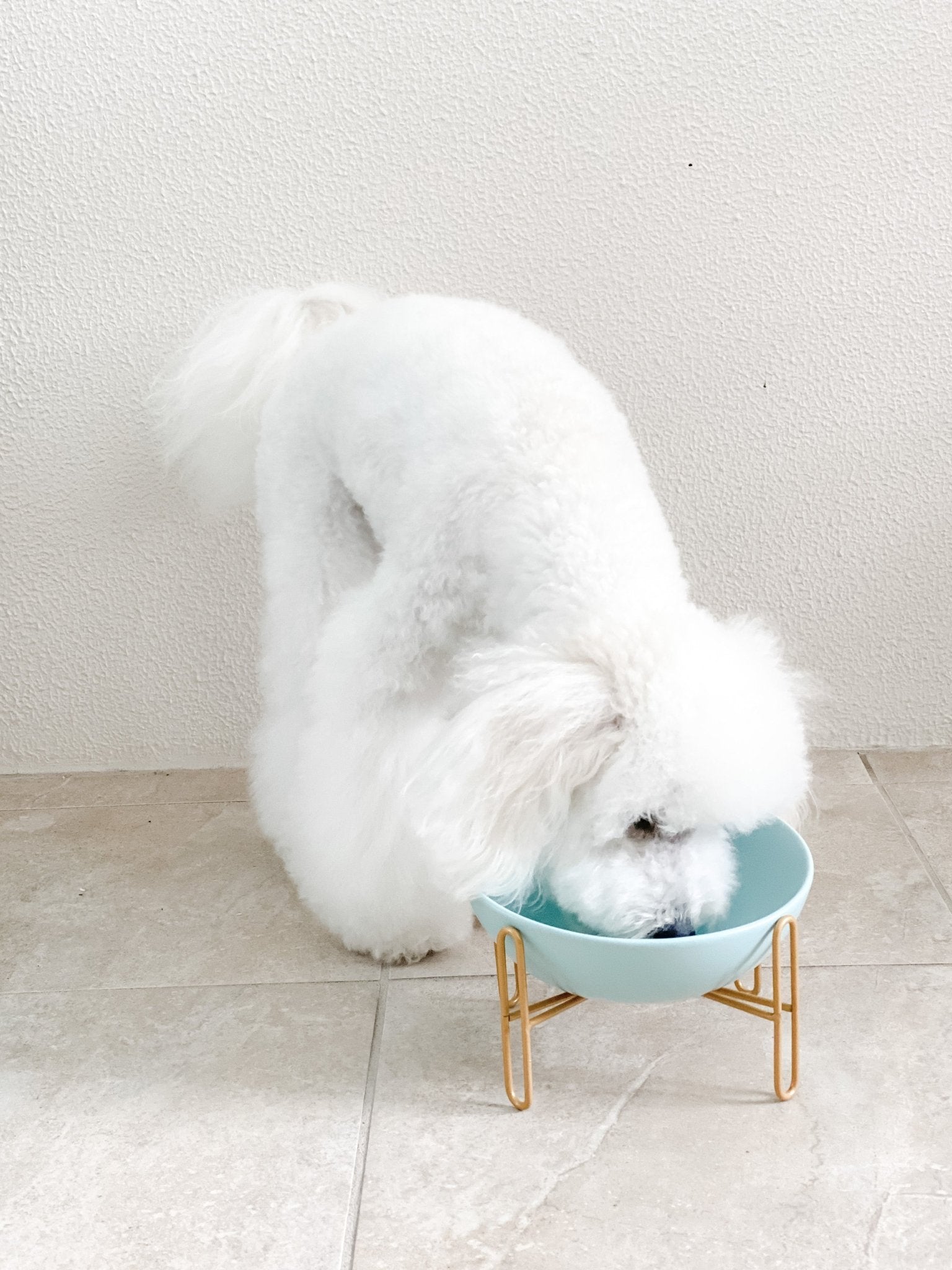 Bronze Stand Ceramic Pet Bowl in Tiffany