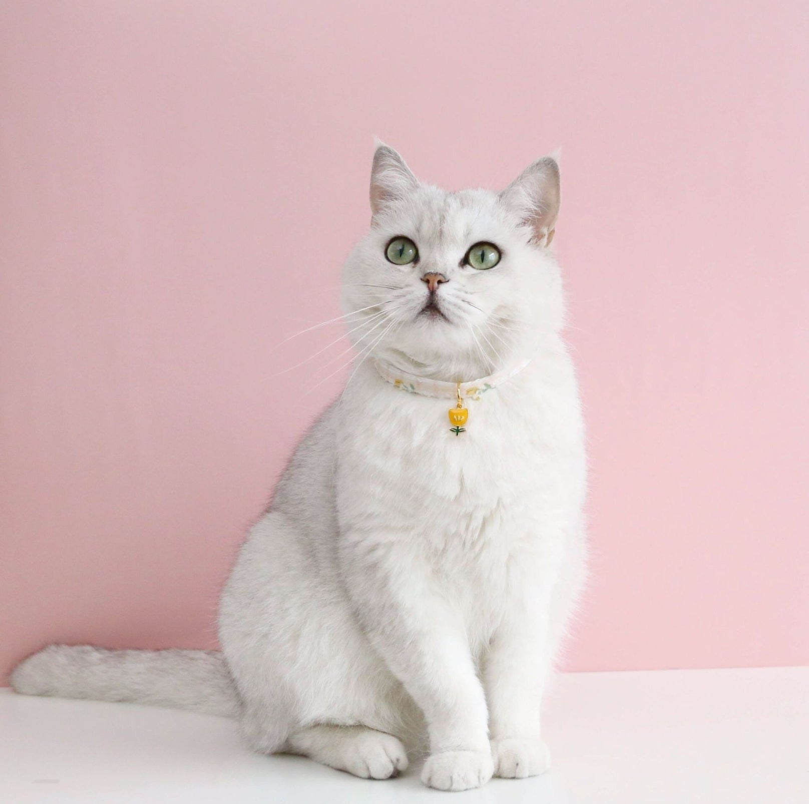 Pet Tulip Pendant Bell Adjustable Collar