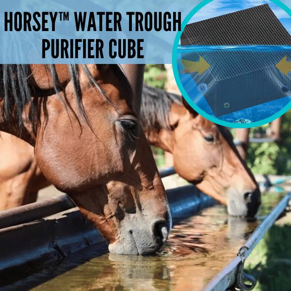 🔥Hot Sales - 49% OFF 👉Water Trough Purifier Cube