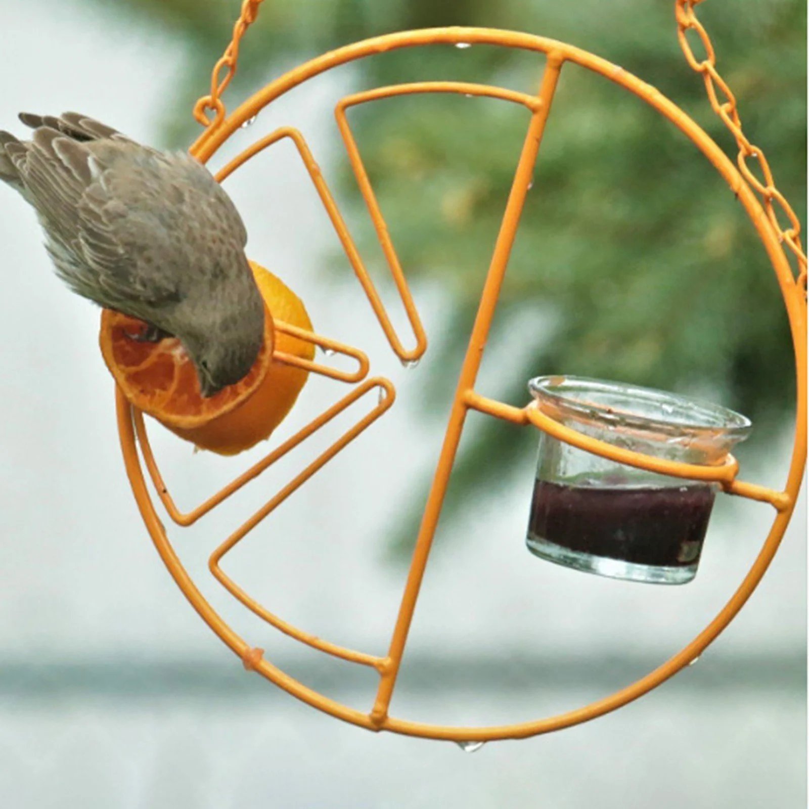 hanging hummingbird oriole feeder
