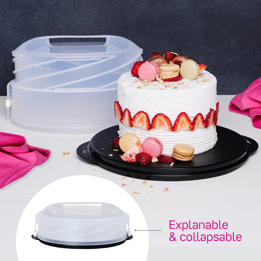 EXPANDABLE CAKE TAKER