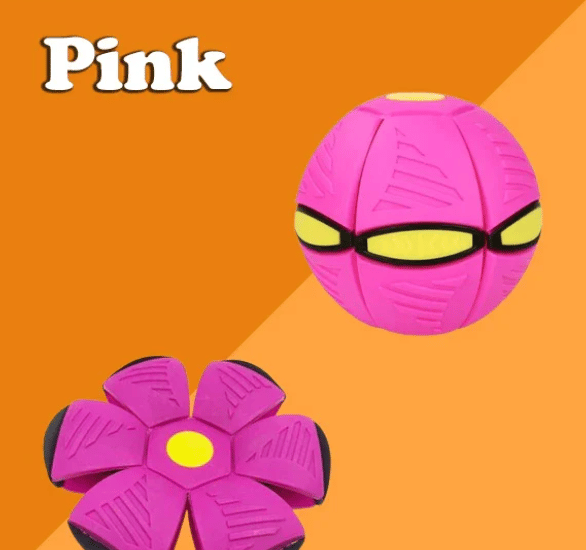 🔥LAST DAY 49% OFF🔥💥The Doggy Disc Ball💞