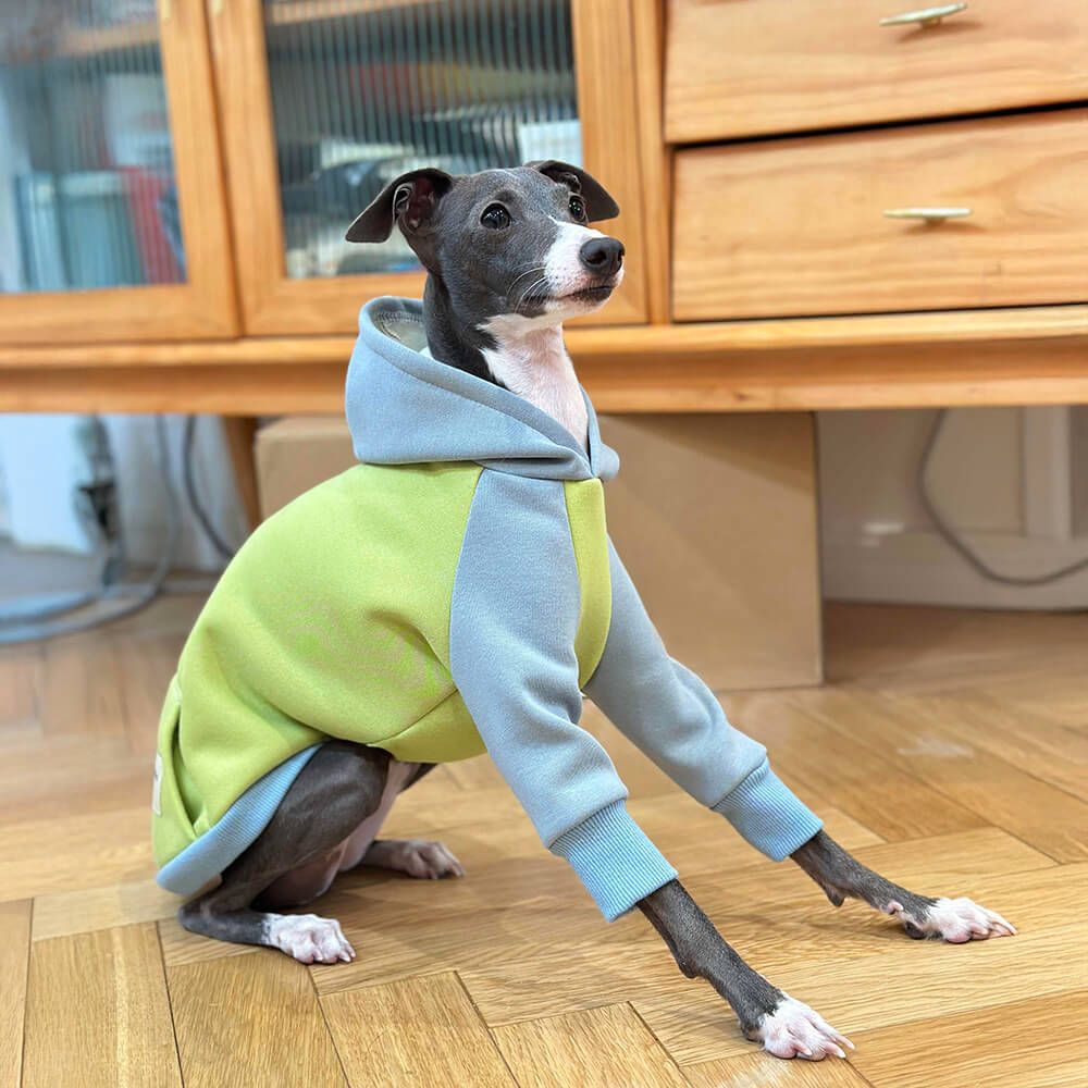 Lightweight Warm Thick Turtleneck Down Padded Dog Jacket Sweatshirt Set