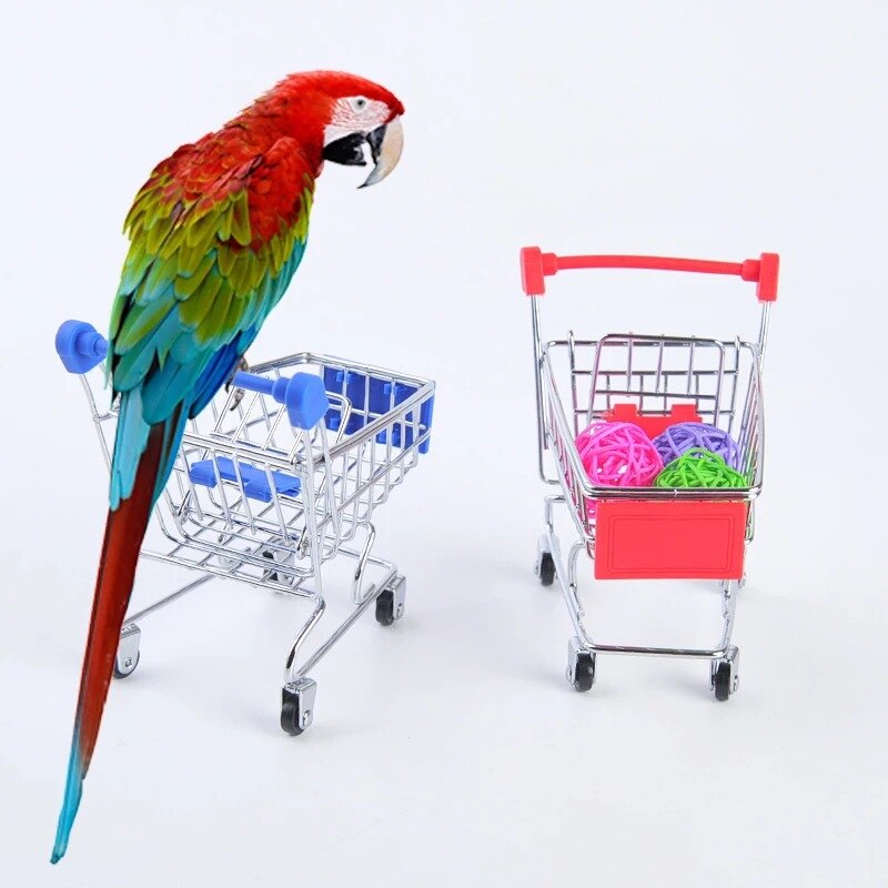 Bird Parrot Activity Toys