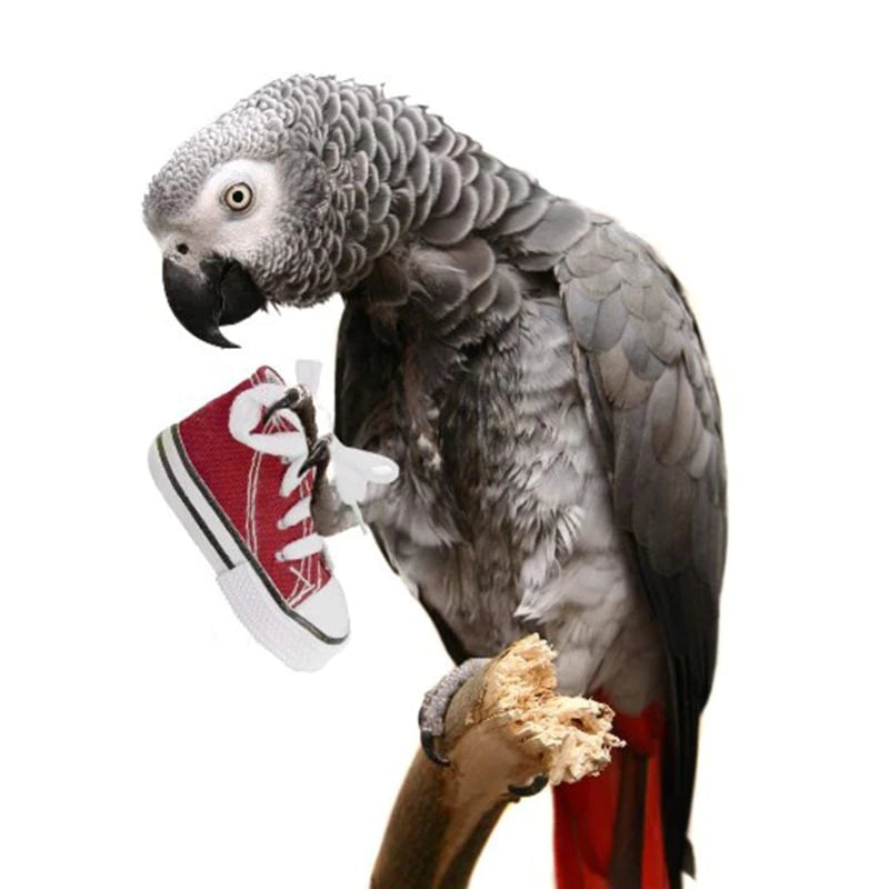 8 Pieces Parrot Training Chew Toys
