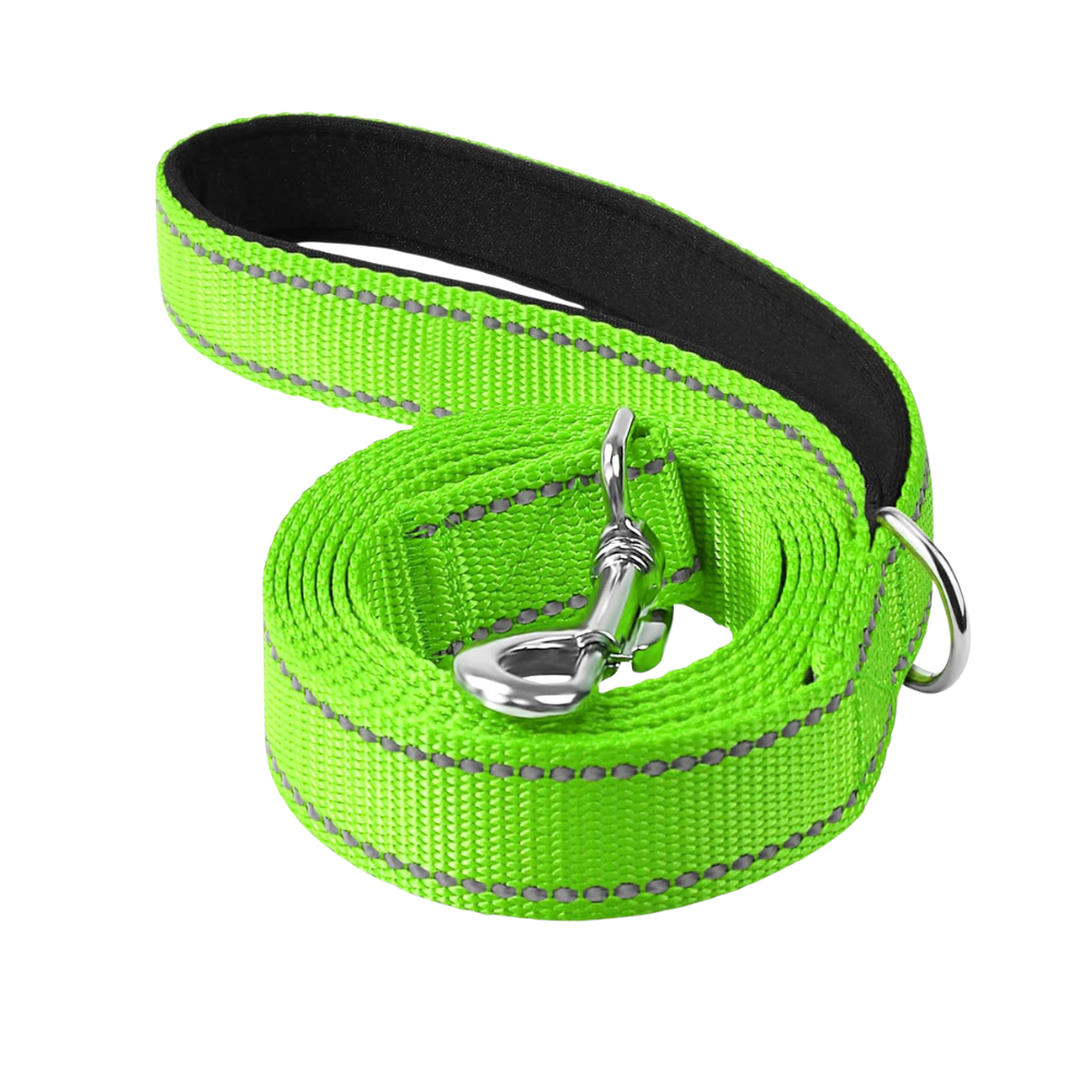 Double Sided Reflective Dog Leash