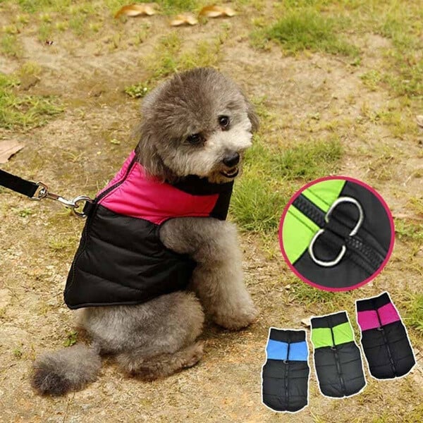 Dog Winter Warm Clothes Zipper Dog Vest🔥BUY 2 FREE SHIPPING