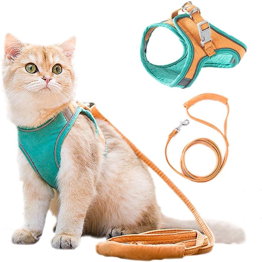 Luminous Cat/Dog Vest Harness and Leash Set