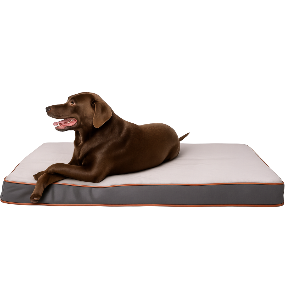 Waterproof Dog Bed With Washable Cover