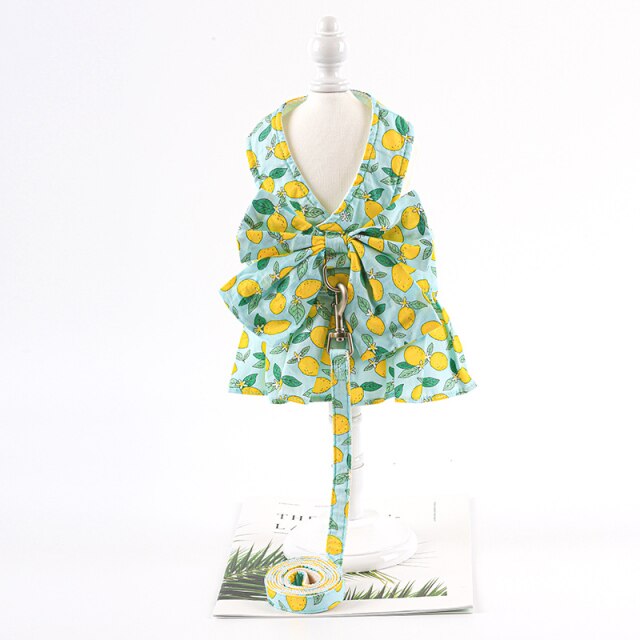 Floral Puppy Dress&Leash Set