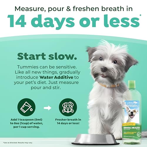 TropiClean Fresh Breath Original | Dog Oral Care Water Additive | Dog Breath Freshener Additive for Dental Health | VOHC Certified | Made in the USA | 33.8 oz.