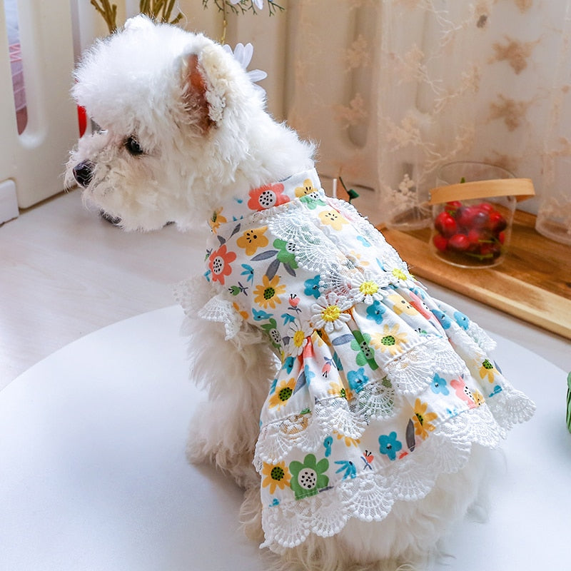 Floral Lace Design Dog Cat Dress